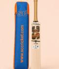 01-hero T-20 English willow cricket bat hero view on pastel peach background