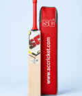 Gladiator English willow cricket bat hero view on powder blue background