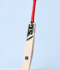 Gladiator cricket bat side profile on powder blue background