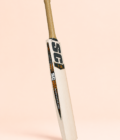 02-profile T-20 cricket bat side profile on pastel peach background