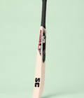 02-profile Ultimate Pro cricket bat side profile on pastel mint background