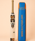 03-cover T-20 cricket bat with protective cover on pastel peach background