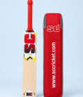 Gladiator cricket bat with protective cover on powder blue background